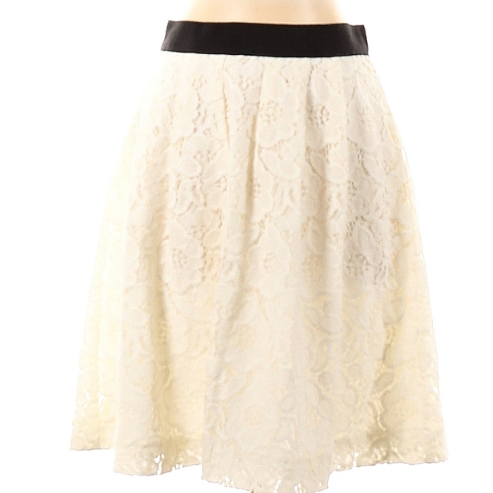 Ann Taylor LOFT Lace skirt, fully lined, with black elasticized band at top.
